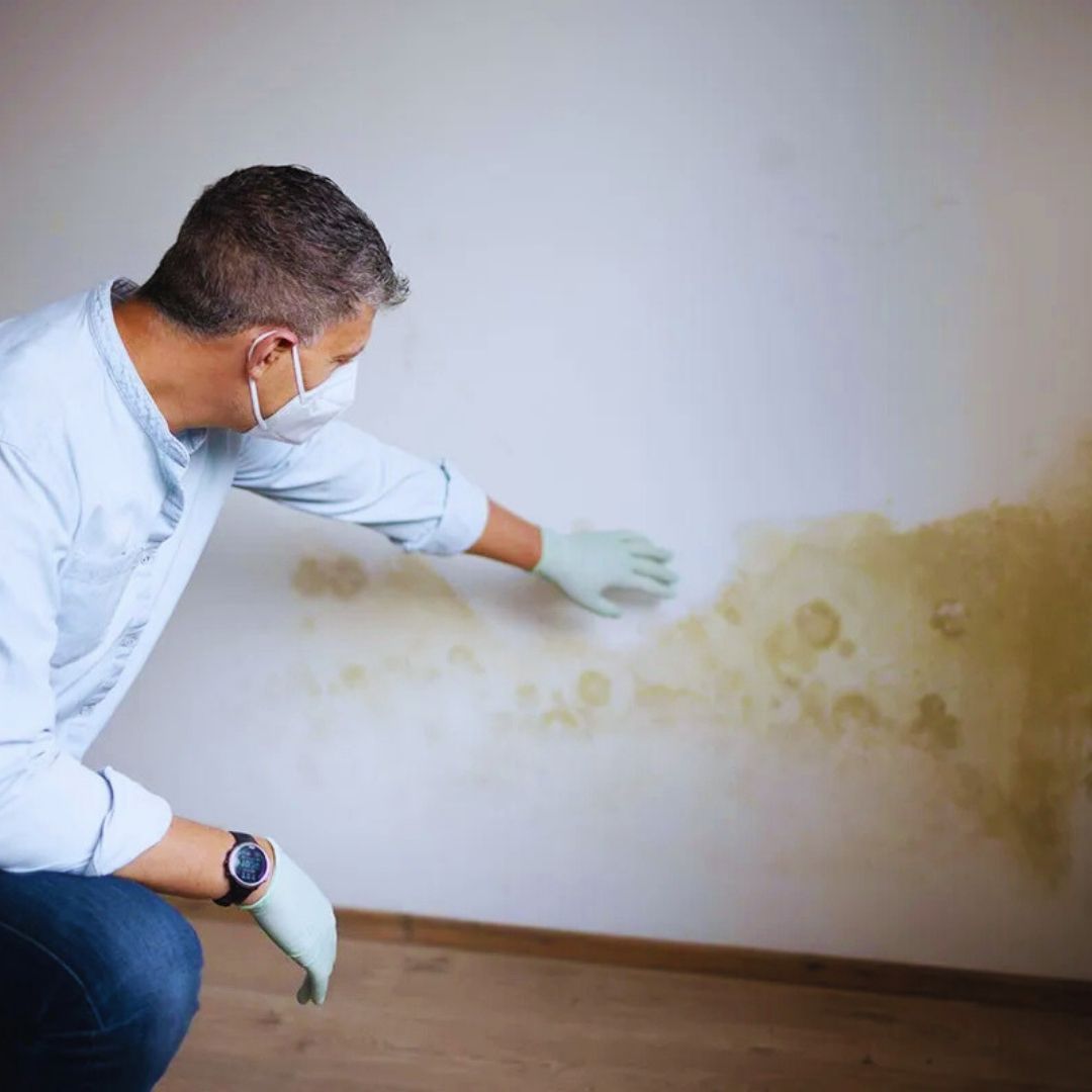 Manchas de infiltração em paredes e tetos são um problema comum em muitas residências.